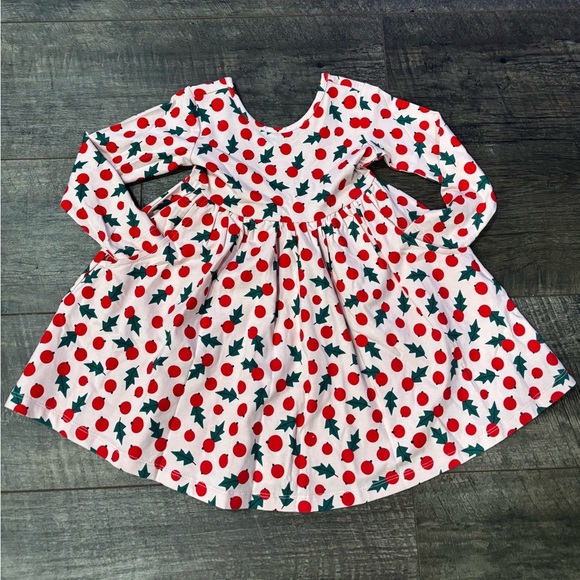 Hanna Andersson Other - Hanna Anderson Christmas Holly long sleeve dress